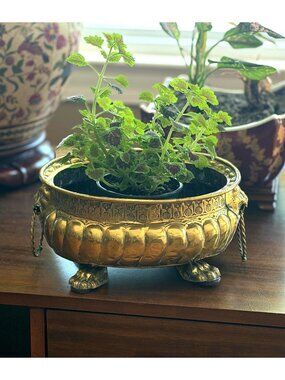 Antique brass jardiniere pot holder with lions feet and lions heads
